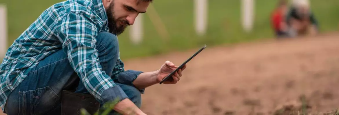 Male farmer checking soil quality after minimum tillage practices in an organic field