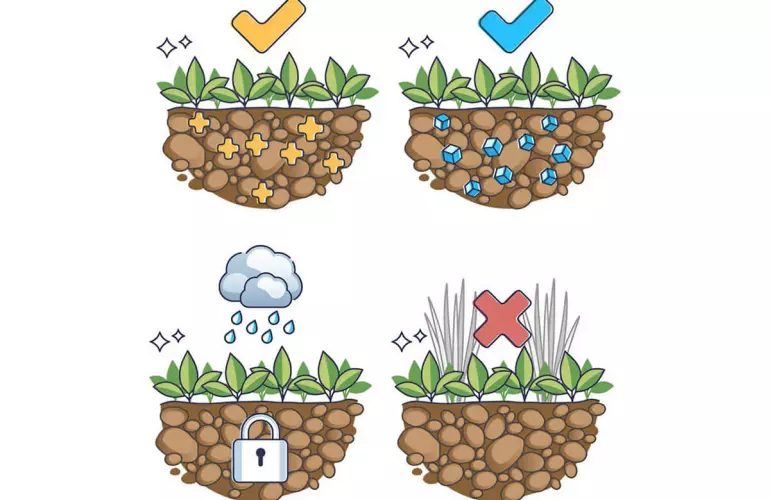 benefits of crop rotation