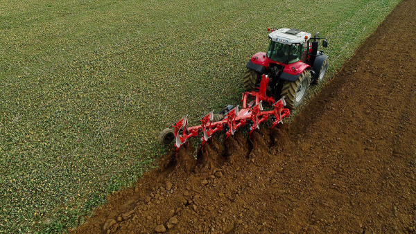 cover crop destroyed mechanically with a plough