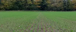 Birchalls Drilled Land