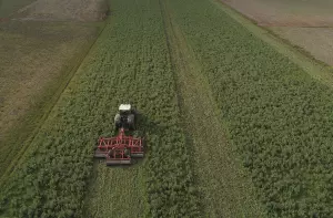 stubble cultivator working in field after the end of winter