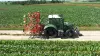 The ROWLINER row-crop cultivator at work in a field