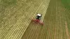 The ROWLINER row-crop cultivator at work in a field